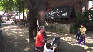 'Happy Birthday' Piano Duet with Peter the Elephant