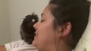 Person Opens Mouth for Monkey