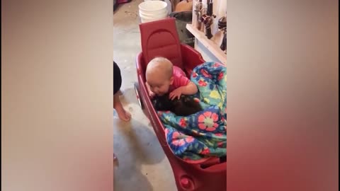 Cute and funny Cat and Baby play