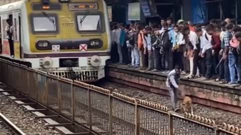 A Super Hero Rescues A Dog From Running Train 🐕