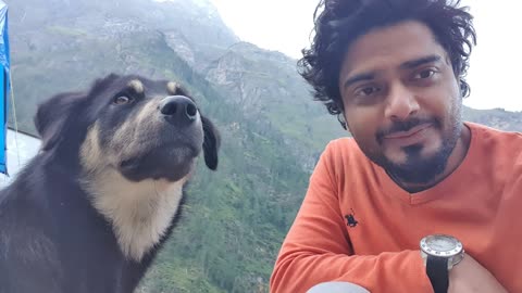 Trekking dogs Kheerganga