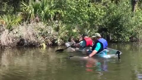 English Couple Have An Incredible Encounter With Friendly Manatee