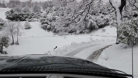 Snowy Driveway