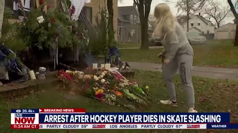 Matt pet grave Manslaughter arrest made in death of hockey star Adam Johnson