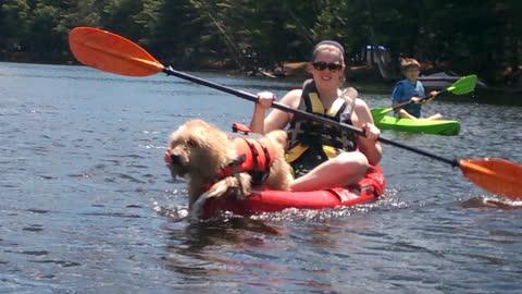 Talented Dog Paddles Kayak with Paws