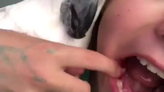 Cockatoo pulls out a tooth