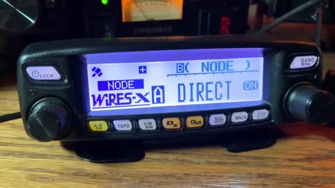 FTM-100D WIRES-X Node HACK !