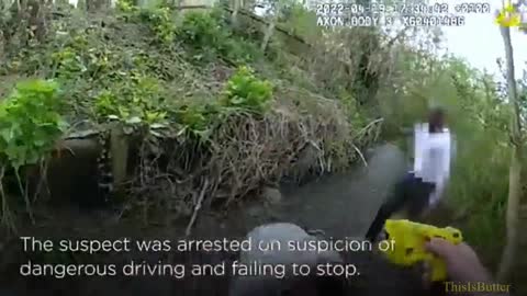 Video shows Met Police officer dive into river to catch armAed man after car chase