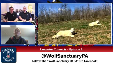 Meet The Howling Wolves of Lancaster County, PA!