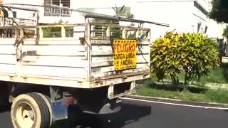 ¿Qué pasó con la ciclorruta de la carrera 28 de Bucaramanga?