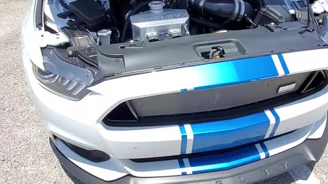 Mustang Shelby GT 500 cobra