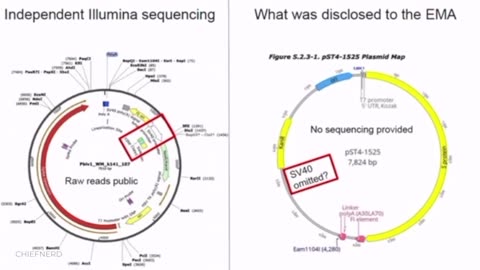 🚩 Kevin McKernan Presents Evidence of COVID-19 Vaccine Contamination to the FDA VRBPAC Advisory Committee