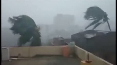 cyclone/storm wind