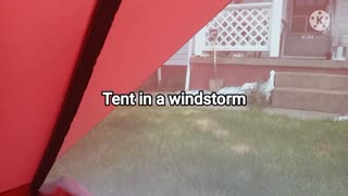 Tent in a windstorm