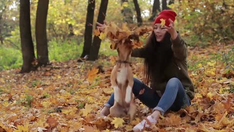 10 signs if your dog is happy with you