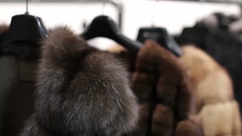 mink coats hanging in the shop window shop mink
