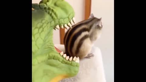 Dinosaur wants to bite a hamster