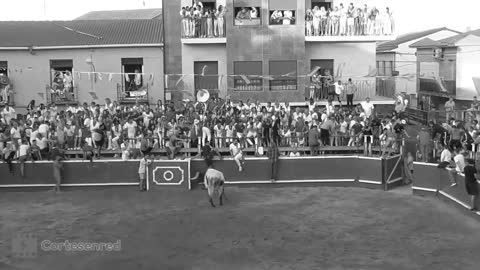Ananova - Moment Bull Leaps Over Fence Twice Into Bullring Stands