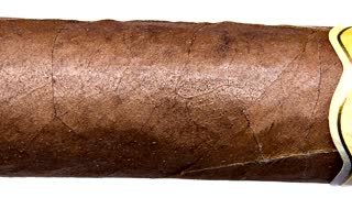 Cigari Connecticut Robusto Cigar Review