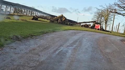 Knowsley Safari Park