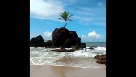 Praia de Tambaba Paraíso Paraibano