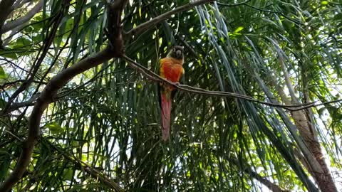 Bird bites my finger hard