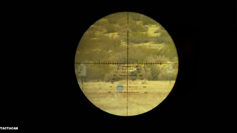 Rapid Reticle 22LR