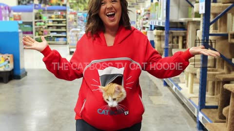 Cat hoodies are the way of the future!