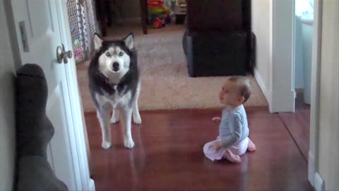 Husky Imitates Little Baby's Babbling