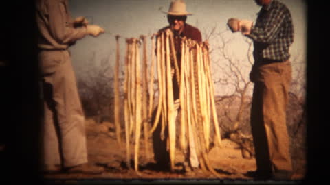 Texas Rattlesnake hunt