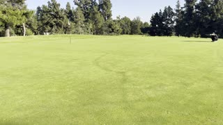 beautiful single putting