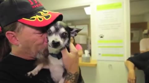 Puppy express his excitement after being reunited with owner