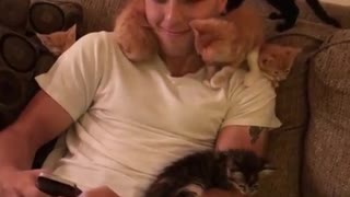 Cute Guy and Cuddly Kittens