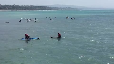 Man explains doheney surf club swimming in ocean