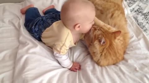 Cute cats meeting babies for the first time!