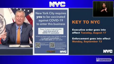 NYC Now Requiring ID for Just About Everything - Except Voting