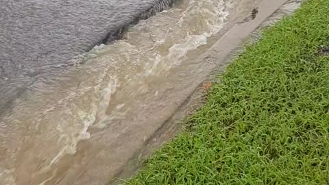 Massive Flooding Causes Sinkholes in Australian Suburb