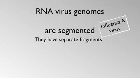 Viral genome