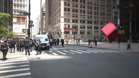 Protest against brutality of Police, New York