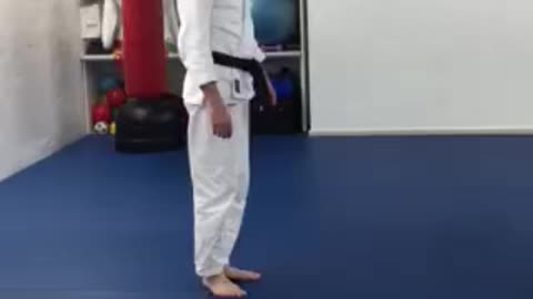 Combinations 1-5a White Belt