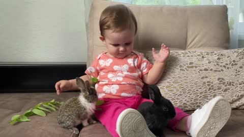 Funny_moments_of_a_cute_baby_with_little_rabbits
