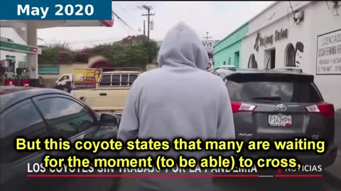 Mexican coyotes business is booming