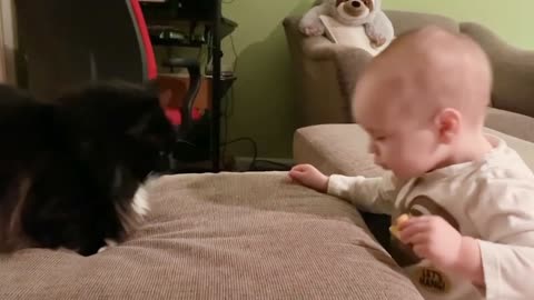 Funny baby playing with cat.... part ( 1)
