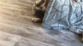 Neo Likes to Play Hide and Seek
