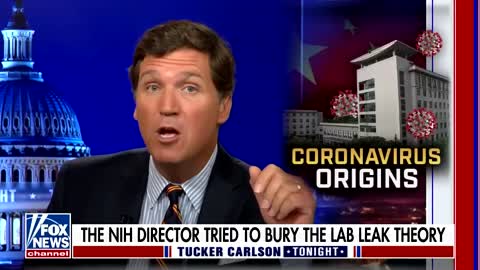 Tucker Carlson: This may have been the greatest crime in history (The Rona):