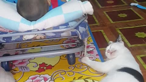 Cat Rocks Baby While At The Same Time Cleans Its Paws