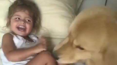 Strong scene of a dog attack and baby laughs