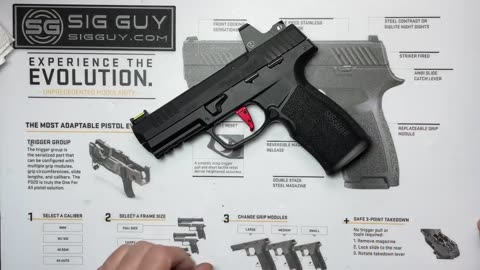 Armory Craft SIG Sauer P322 Dual Adjustable Trigger Installation Video