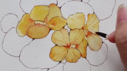 Master watercolor painting: botanical painting nasturtium painting teaching