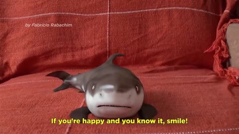 Cutest Happy Shark Funny Shark Cute Baby Animals Reaction